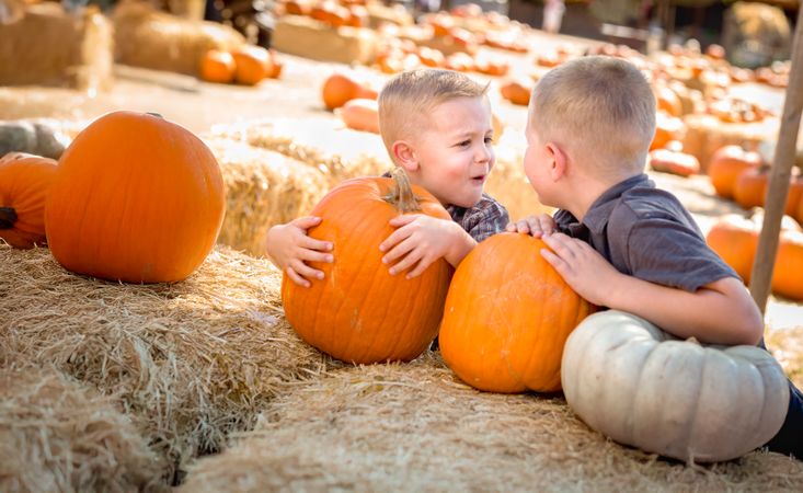 Two Boys Having Fun at the Pumpkin Patch .on a Sunny Fall Day.