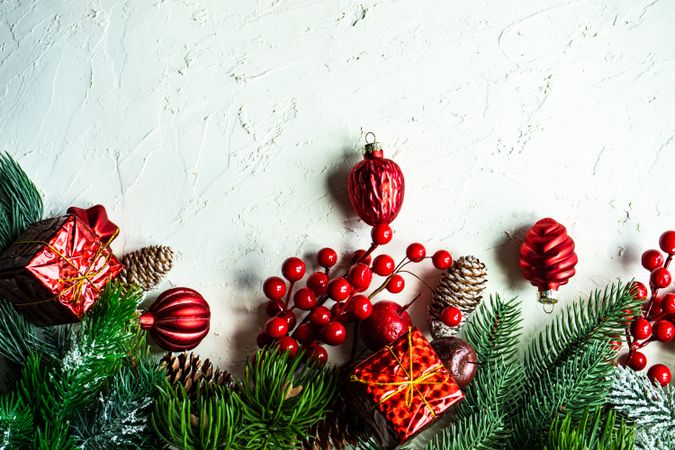 Green wintry branch with pine cones and red baubles on bright background with copy space
