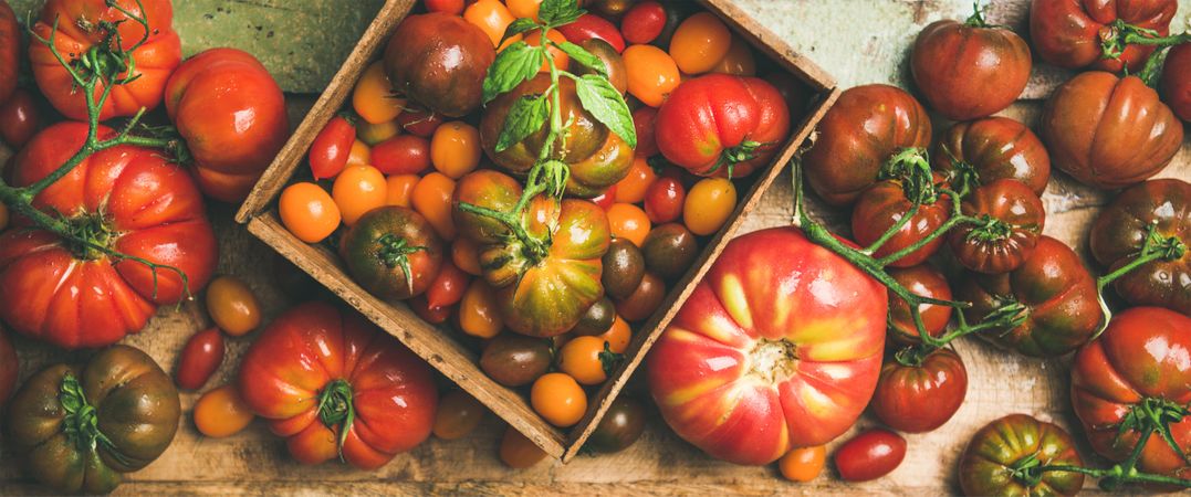 Assortment of different tomatoes, on wooden table, horizontal composition