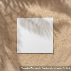 Sand with palm leaf shadows and central square 4M6XEb