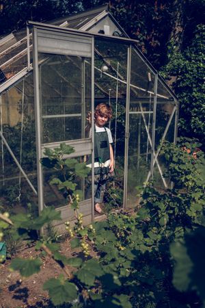Content boy in apron in greenhouse