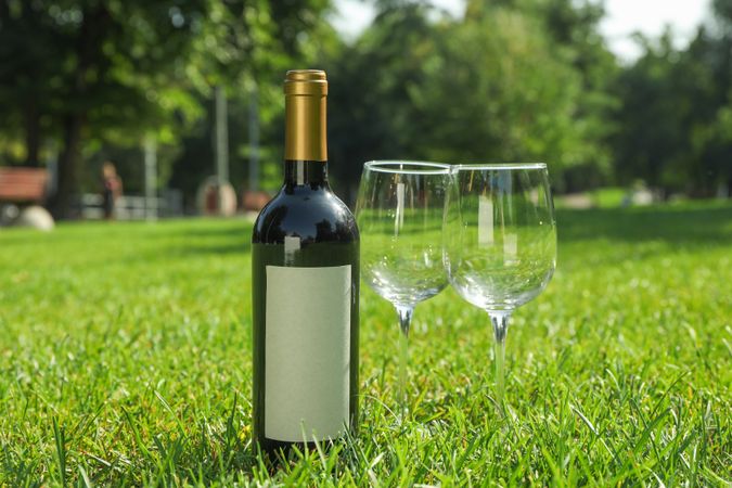 Bottle of wine and glasses on green grass, space for text