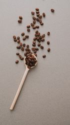 Coffee beans in spoon on gray surface