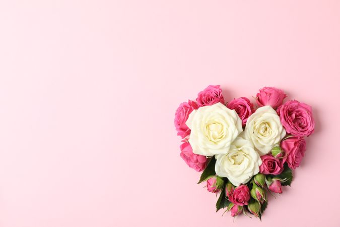 Beautiful roses in shape of heart on color background, space for text