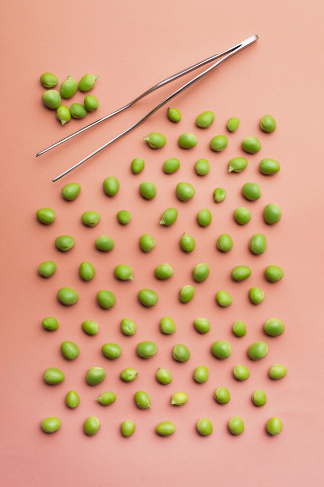 Set of peas placed orderly on salmon colored background