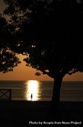 Silhouette of person standing near sea under tree during sunset 5p6G8b