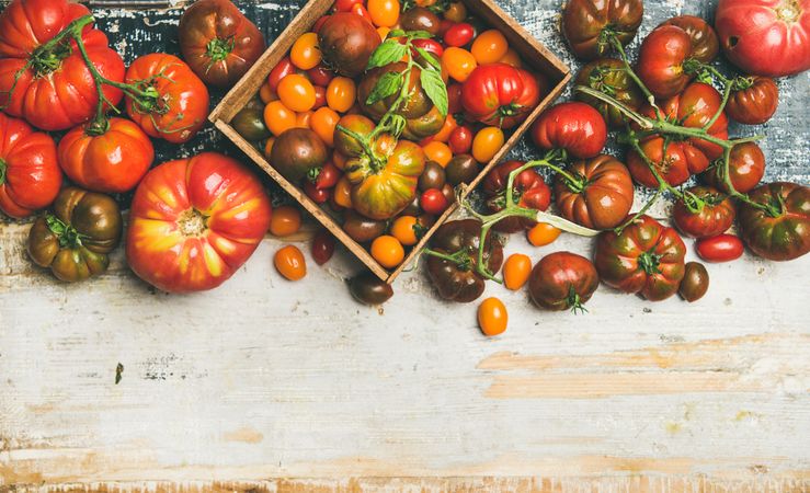 Assortment of different tomatoes in square box, on wooden table with copy space