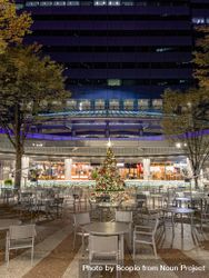 Exterior view of a restaurant decorated with Christmas tree in Tokyo Japan at night 0yMdq0