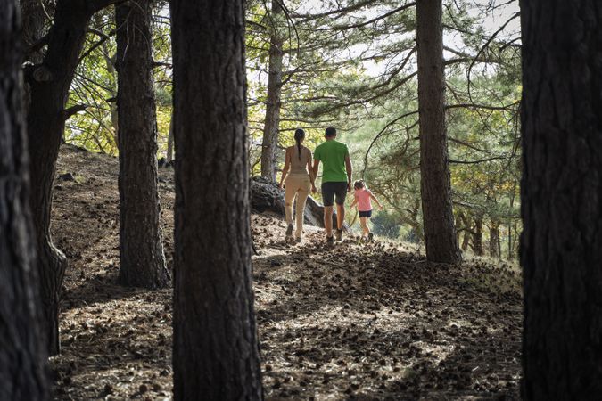 Family hiking together in pine forest enjoying nature and peaceful atmosphere