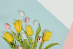 Fresh yellow flowers and easter eggs with green leaves