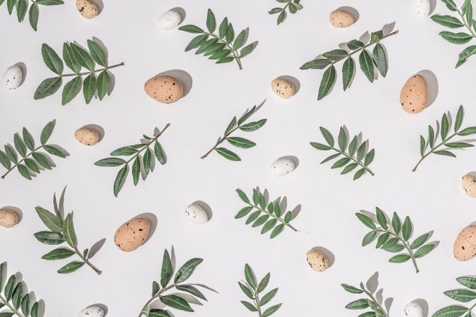 Green branches and brown eggs scattered on light background