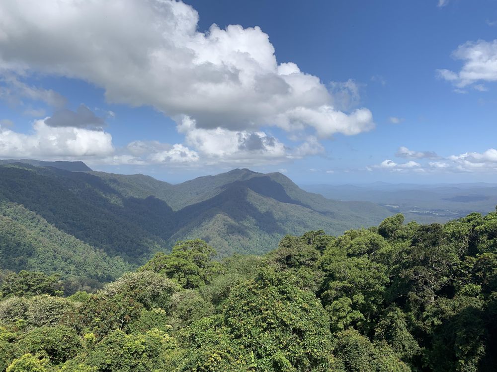 View from atop tree lined hills