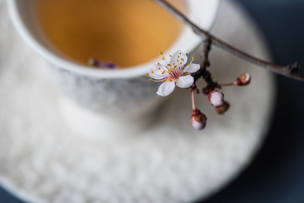 Close up of tea and branch garnish