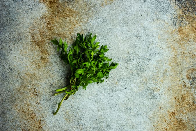 Arugula herb on concrete background