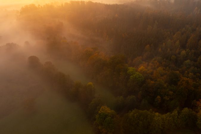 Drone aerial view of an autumn forest on a foggy morning at golden hour.