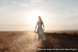Blurred view of young woman in a dress standing in an open field 0LdeX0