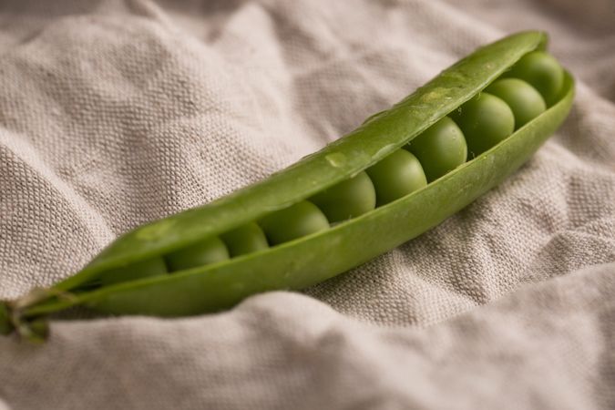 Fresh peas and pea pods on dark background