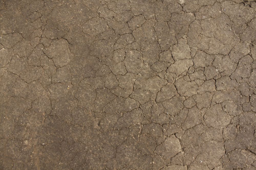 Top view of dried land
