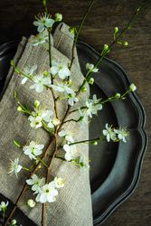 Spring table setting with blooming tree branch on dark plate