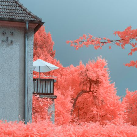 Infrared trees near suburban houses