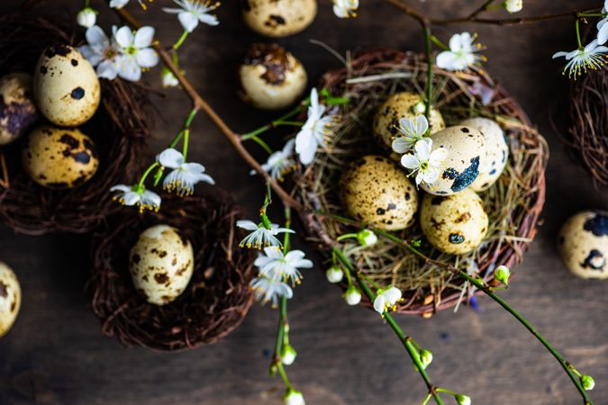 Top view Easter holiday card concept of nest and speckled eggs on wooden table