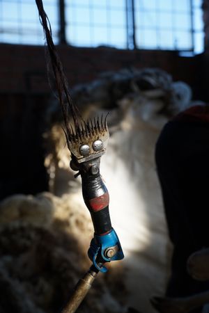 Sheep shearing machine hanging on rope