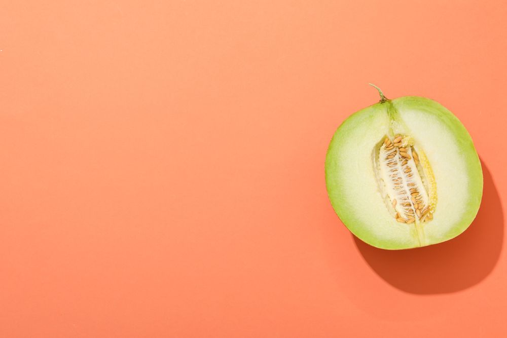 Juicy and tasty summer time fruit concept - melon