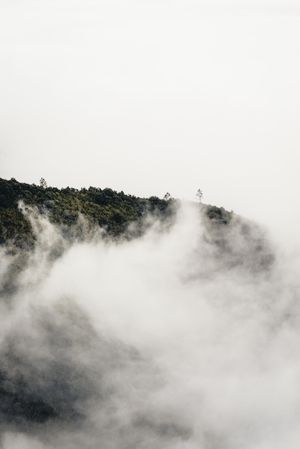 Fog rolling over the cliffs on the coast