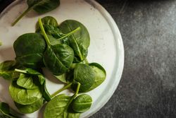 Fresh spinach on a rustic concrete crockery