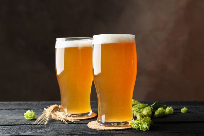 Glasses with beer, hop cones and spikelets on wooden table, space for text