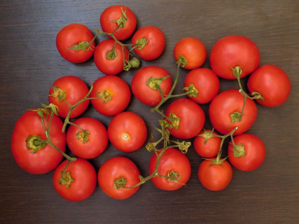 tomatoes