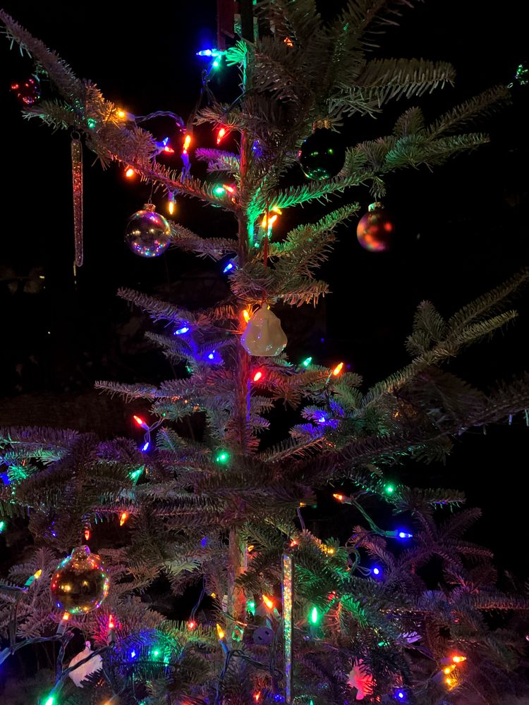 Holiday tree