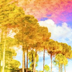 Art effect of golden trees under colorful sky