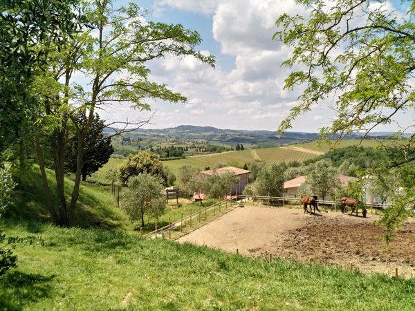 Italian countryside