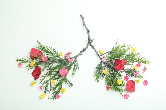 Lung concept made of branches and flowers