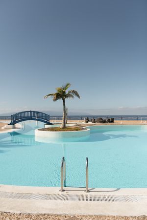 Palm and bridge over pool