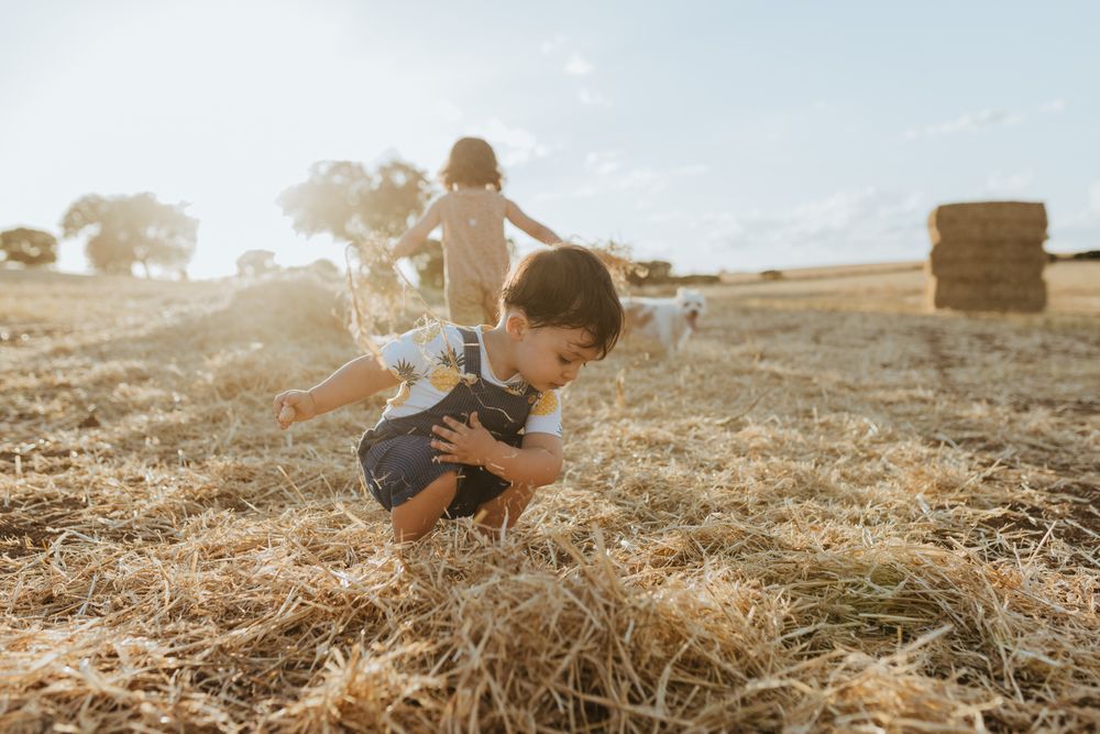 A child playing in the hay at sunset
