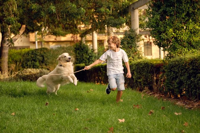 Happy child with stick playing with dog