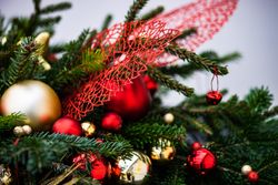 Christmas festive composition, close up of pine center piece with golden and red decorations