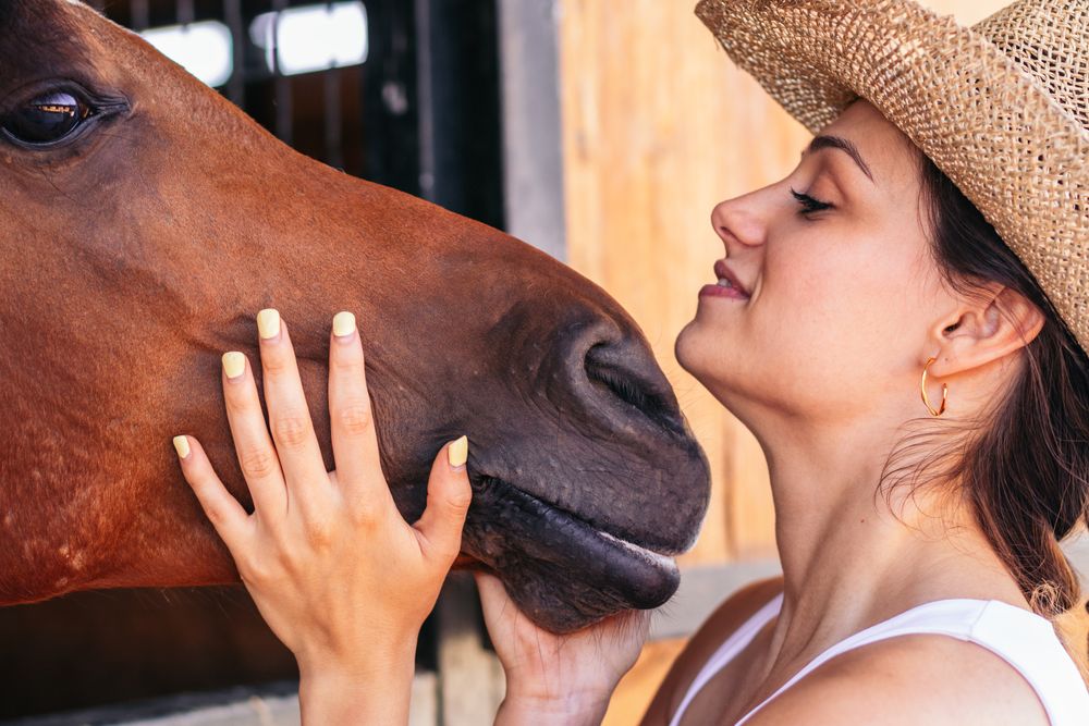 Woman taking care of his brown horse in the stable