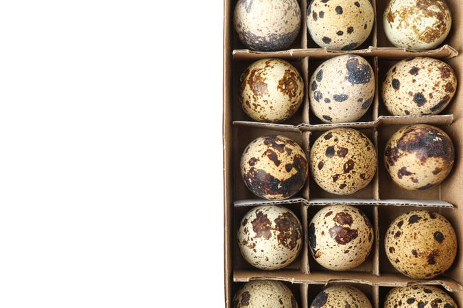 Quail eggs in carton box isolated on light background, top view