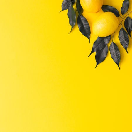 Lemon and dark  leaves on yellow background