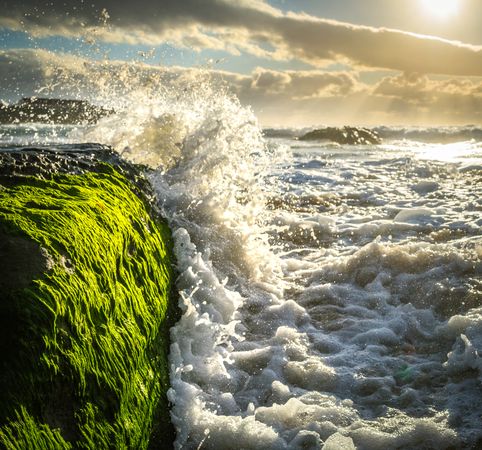 Sea wave splashing on cliff