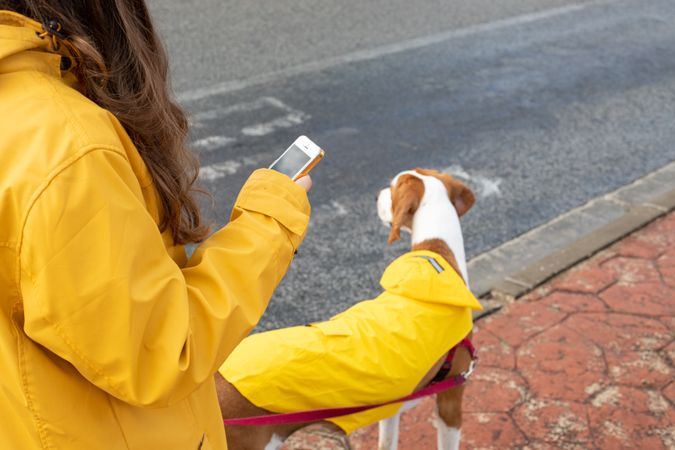 Woman browsing smartphone with dog in street