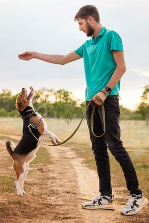 Animal training concept.