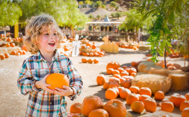 Cute Young Boy Having Fun at the Pumpkin Patch on a Sunny Fall Day..