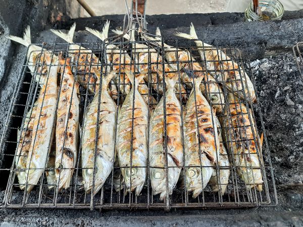 Grilled Fish on Traditional Charcoal Barbecue