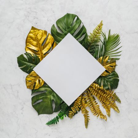 Green and gold leaves surrounding square paper on marble background