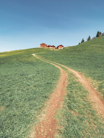 Countryside road running between green field near forest to small village