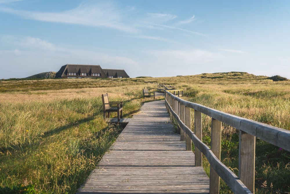 Wooden footbridge over private vegetation on Sylt island